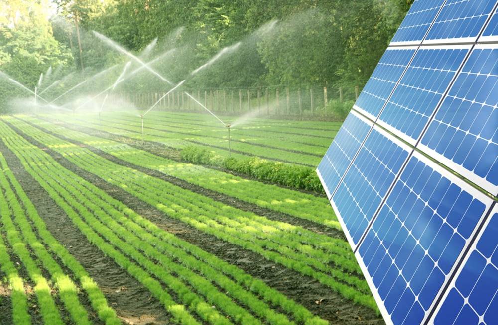 What is Solar Water Pump?